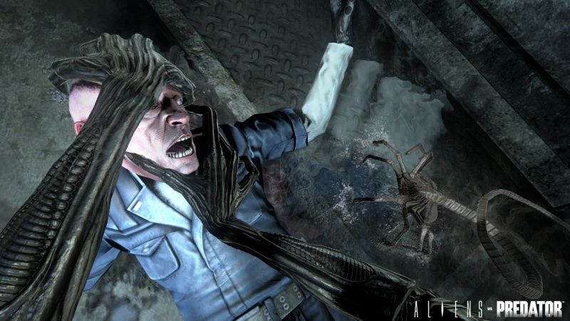 igra-aliens-vs-predator-chuzhoj-protiv-hishnika-russkaya-versiya-ps3_3.jpg