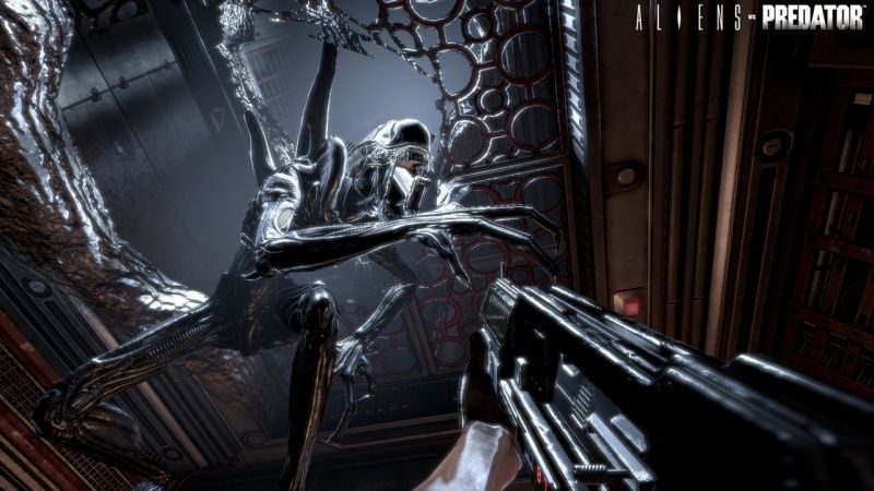 igra-aliens-vs-predator-chuzhoj-protiv-hishnika-russkaya-versiya-ps3_4.jpg