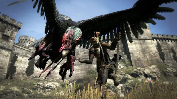 igra-dragons-dogma-ps3_4.jpg