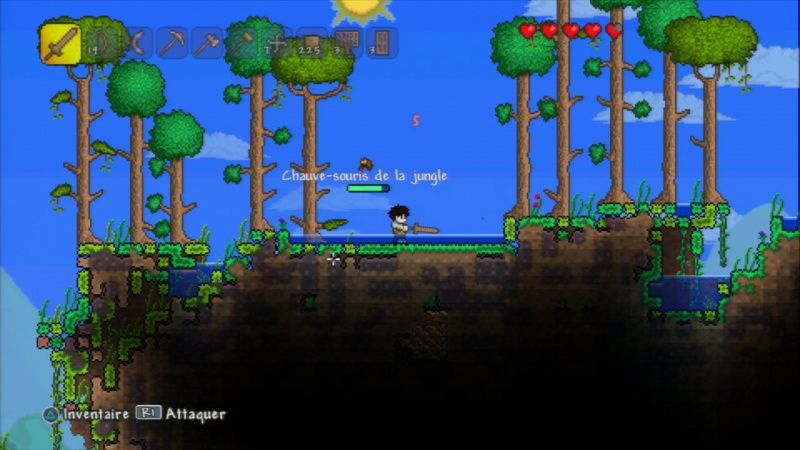 igra-terraria-ps3_2.jpg