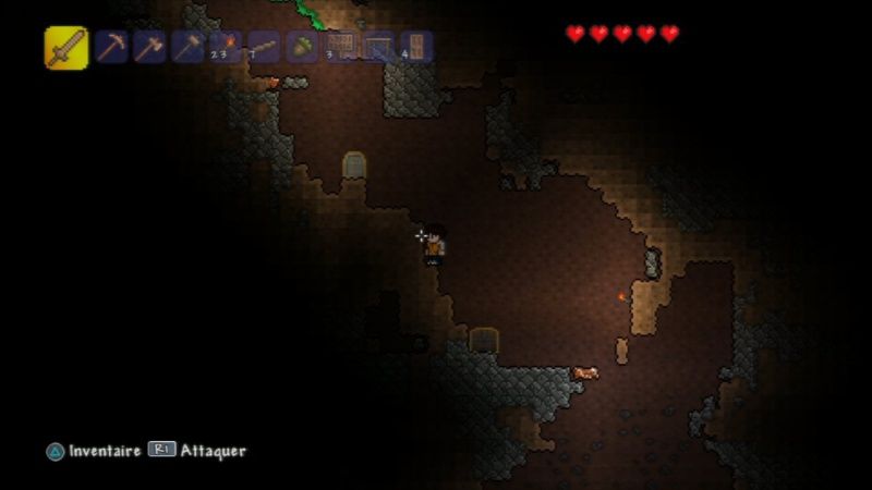 igra-terraria-ps3_4.jpg