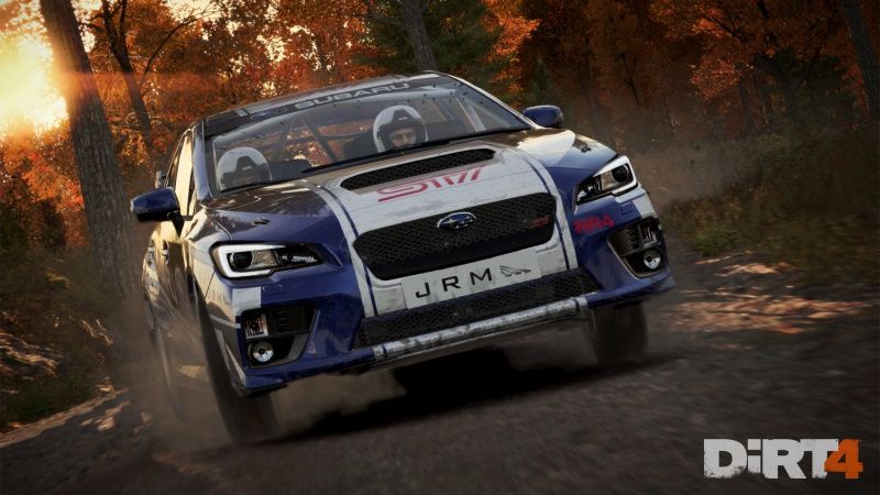 videoigra-dirt-4-ps4_3.jpg