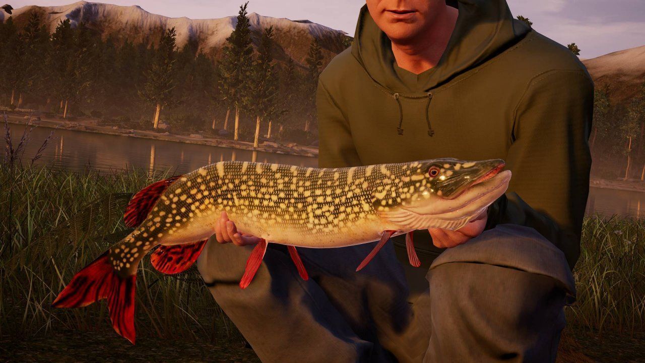 videoigra-fishing-sim-world-ps4_3.jpg