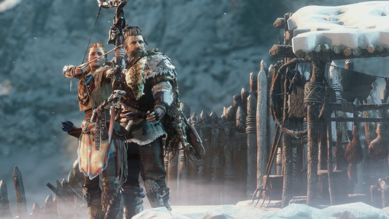 videoigra-horizon-zero-dawn-ps4_2.jpg
