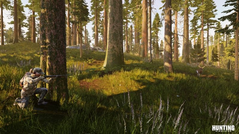 videoigra-hunting-simulator-ps4_4.jpg