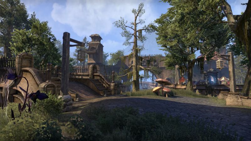 videoigra-the-elder-scrolls-online-morrowind-ps4_2.jpg