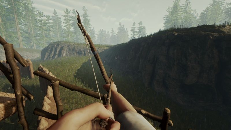 videoigra-the-forest-ps4_2.jpg