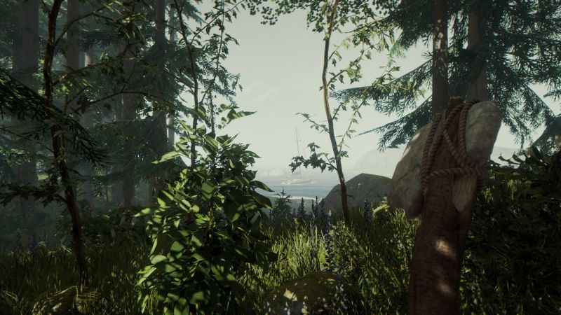 videoigra-the-forest-ps4_3.jpg