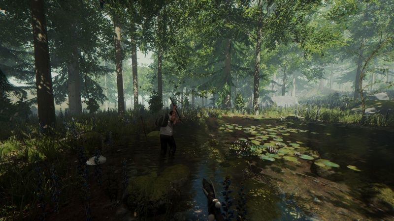 videoigra-the-forest-ps4_4.jpg
