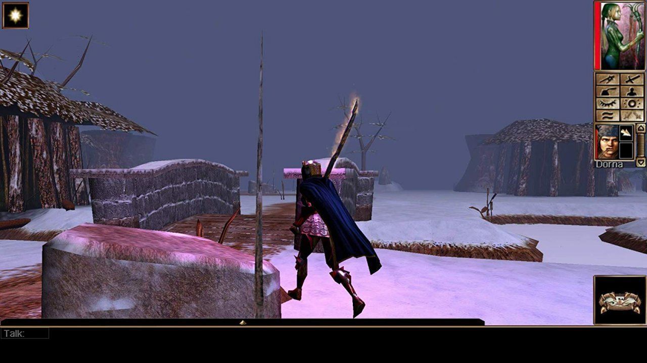 igra-neverwinter-nights-enhanced-edition-switch_4.jpg