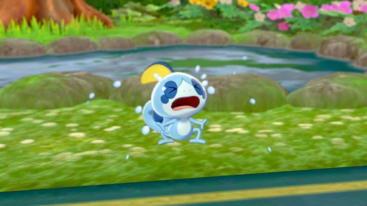 igra-pokemon-shield-switch_4.jpg