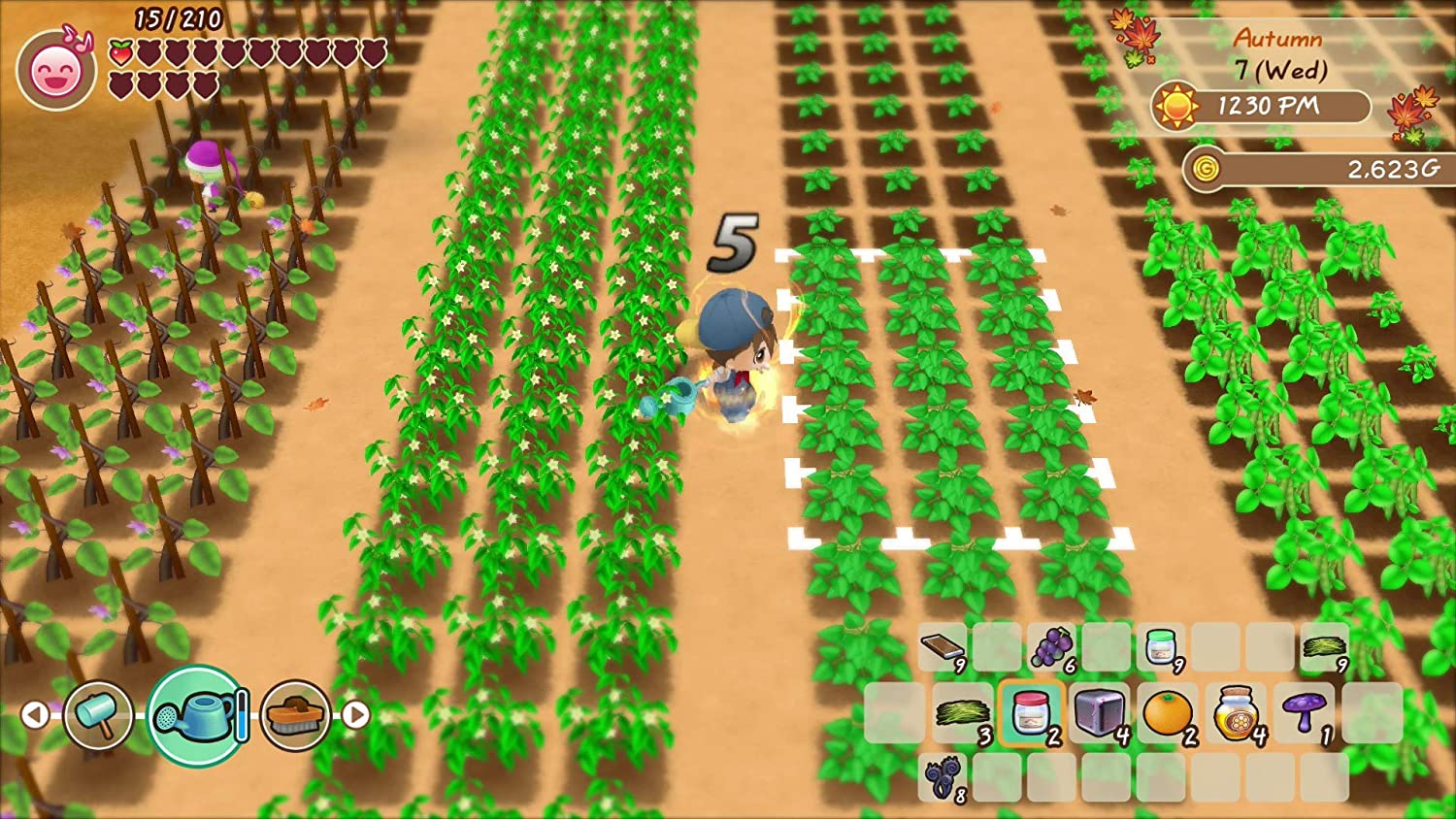 igra-story-of-seasons-friends-of-mineral-town-switch_3.jpg