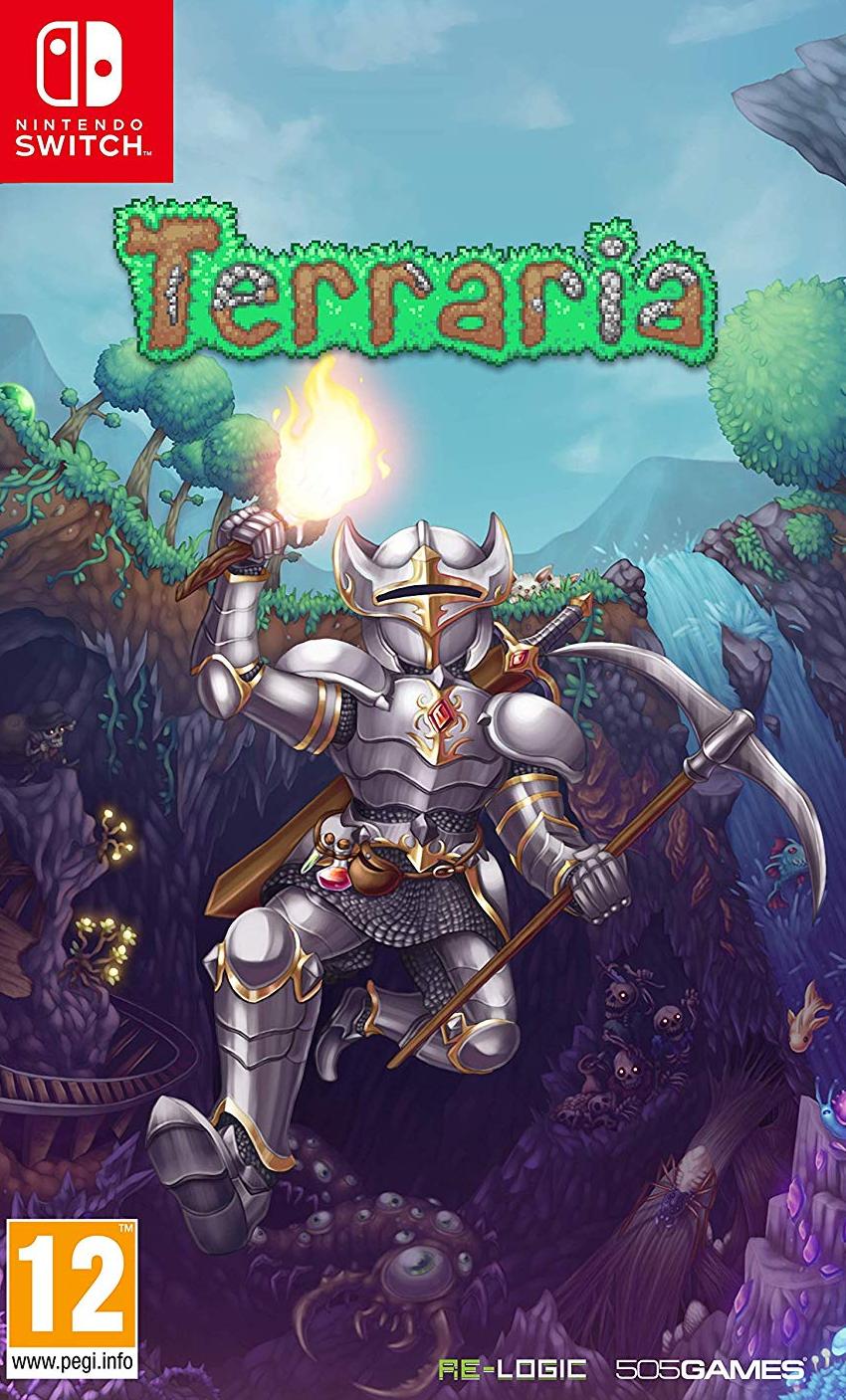 igra-terraria-switch.jpg