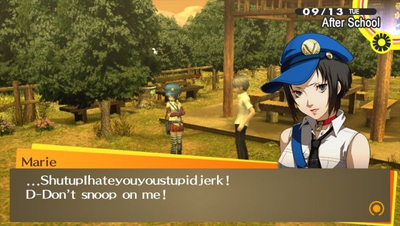 videoigra-persona-4-the-golden-ps-vita_4.jpg