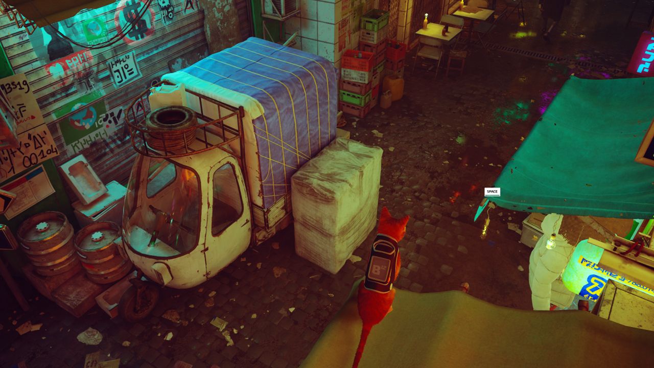 Stray_2 Stray
